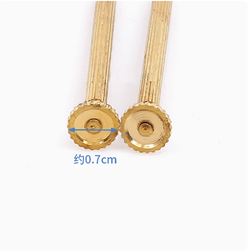 Small Size Metal Slotted Screw - Rolex Watch Daytona review and price
